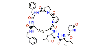 Gombamide C